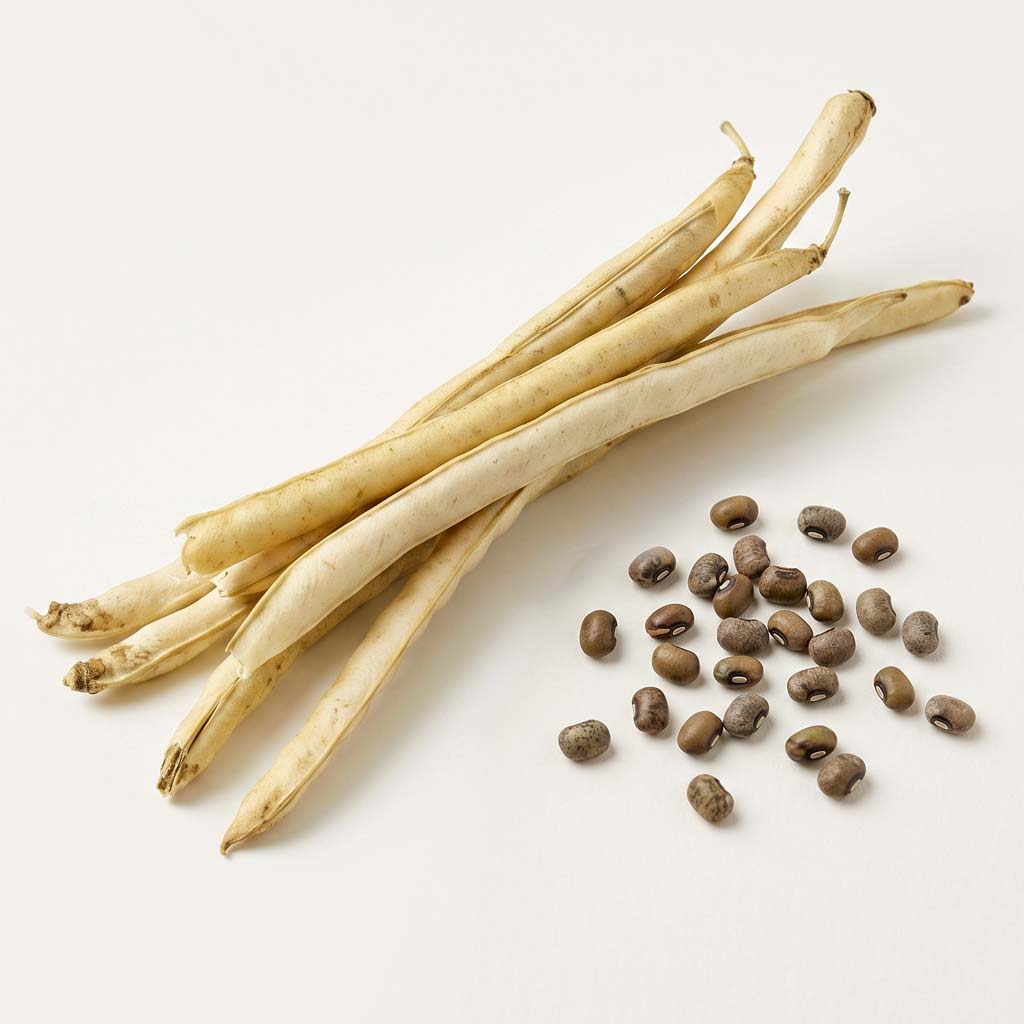 Chongok